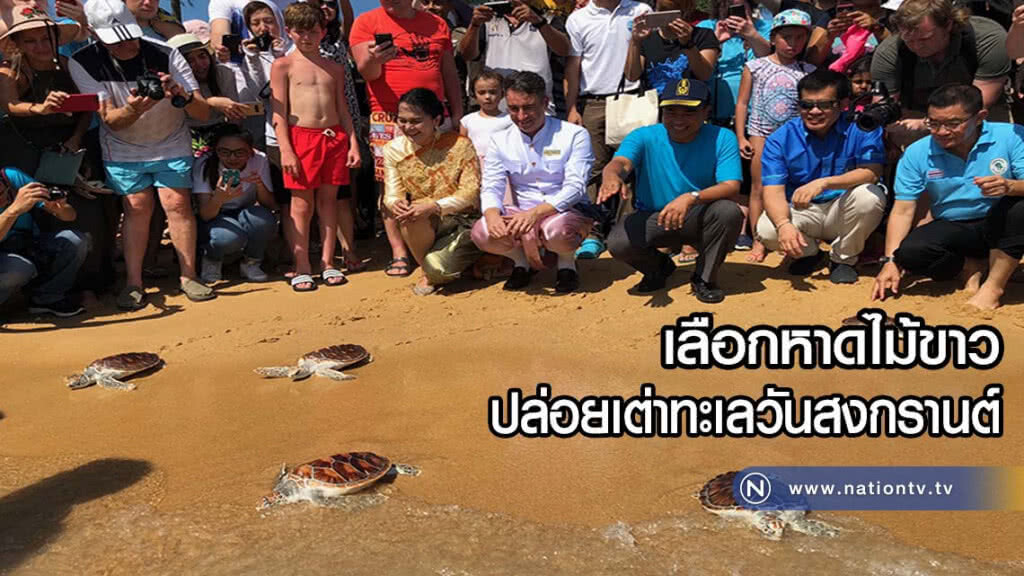 เลือก "หาดไม้ขาว" ปล่อยเต่าทะเลในวันสงกรานต์