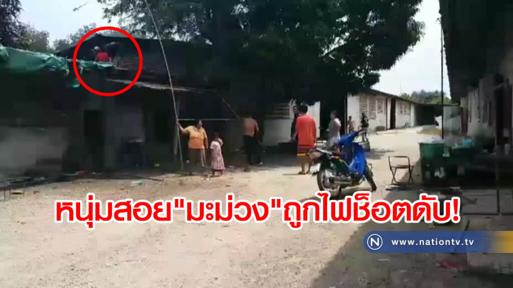 หนุ่มอยากกินมะม่วงเอาตะกร้อไปสอยโดนสายไฟถูกดูดดับรับวันครอบครัว หนุ่มอยากกินมะม่วงเอาตะกร้อไปสอยโดนสายไฟถูกดูดดับรับวันครอบครัว