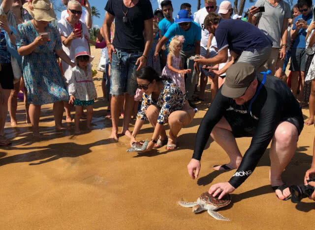 เลือก "หาดไม้ขาว" ปล่อยเต่าทะเลในวันสงกรานต์