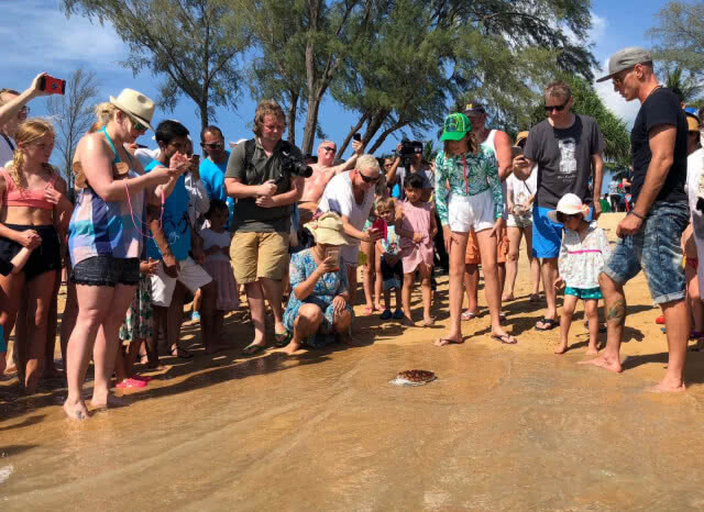 เลือก "หาดไม้ขาว" ปล่อยเต่าทะเลในวันสงกรานต์