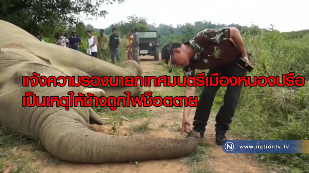 แจ้งความรองนายกเทศมนตรีเมืองหนองปรือ เป็นเหตุให้ช้างถูกไฟช็อตตาย แจ้งความรองนายกเทศมนตรีเมืองหนองปรือ เป็นเหตุให้ช้างถูกไฟช็อตตาย