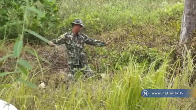 แจ้งความรองนายกเทศมนตรีเมืองหนองปรือ เป็นเหตุให้ช้างถูกไฟช็อตตาย