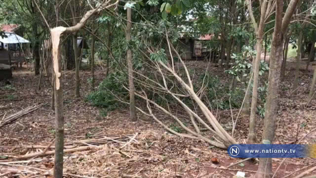 พายุฤดูร้อนถล่ม "บ้านพังหลายหลัง"