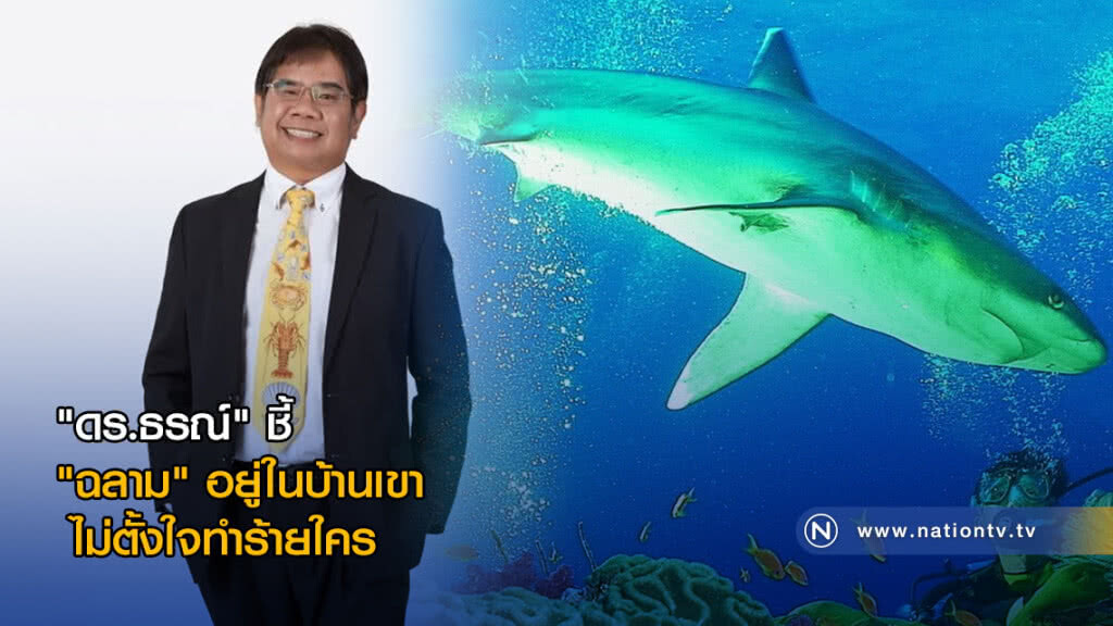 "ดร.ธรณ์" ชี้ "ฉลาม" อยู่ในบ้านเขา-ไม่ตั้งใจทำร้ายใคร "ดร.ธรณ์" ชี้ "ฉลาม" อยู่ในบ้านเขา-ไม่ตั้งใจทำร้ายใคร
