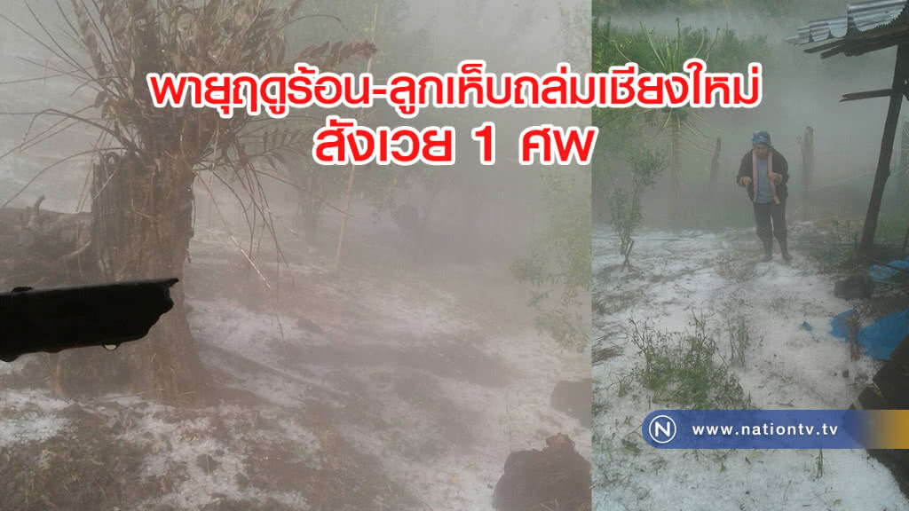 พายุฤดูร้อน-ลูกเห็บถล่มเชียงใหม่
สังเวย 1 ศพ พายุฤดูร้อน-ลูกเห็บถล่มเชียงใหม่
สังเวย 1 ศพ