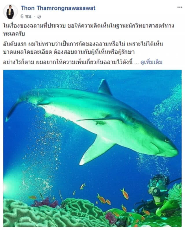 "ดร.ธรณ์" ชี้ "ฉลาม" อยู่ในบ้านเขา-ไม่ตั้งใจทำร้ายใคร