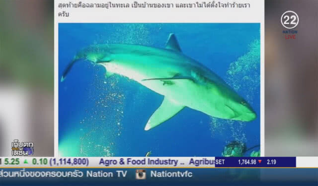 (คลิปข่าว) รองคณบดีคณะประมง แจงฉลามกัดคน