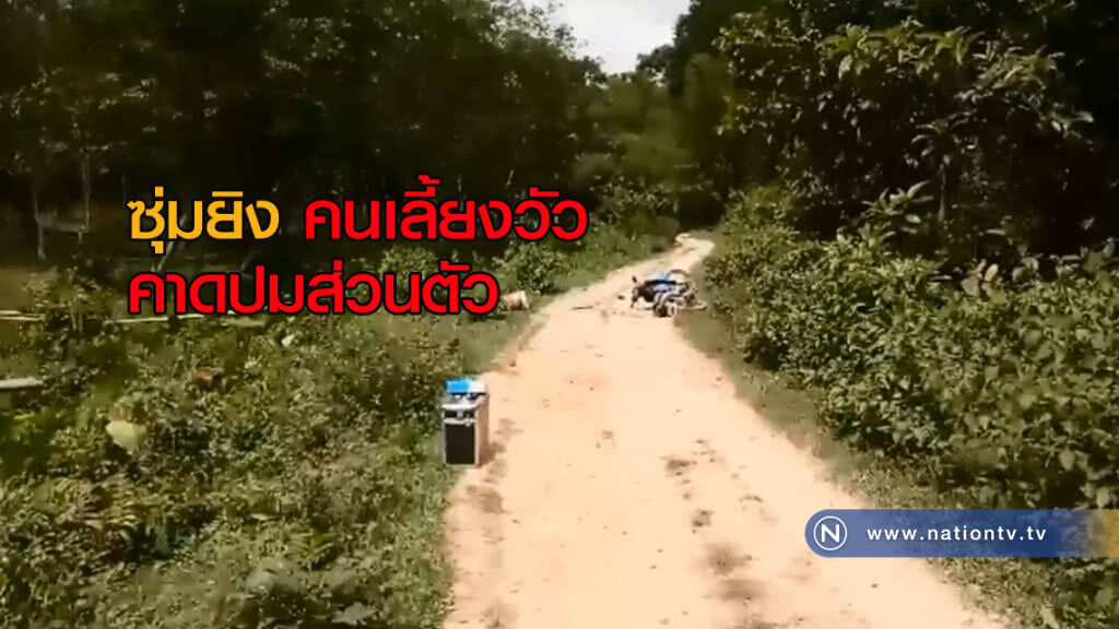 ซุ่มยิง! คนเลี้ยงวัวที่รือเสาะเจ็บสาหัส ซุ่มยิง! คนเลี้ยงวัวที่รือเสาะเจ็บสาหัส