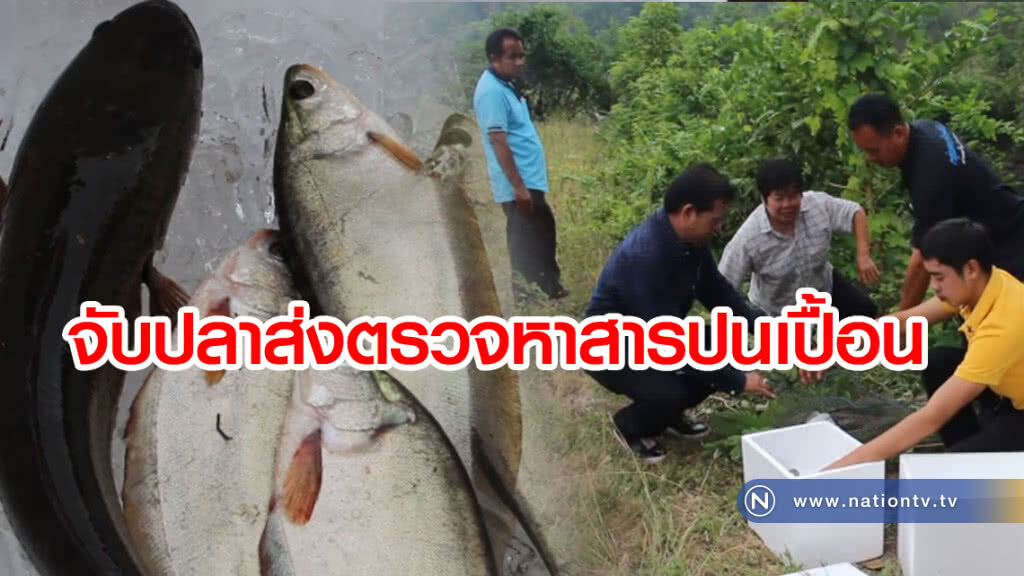 จับปลาส่งตรวจหา "สารปนเปื้อน"