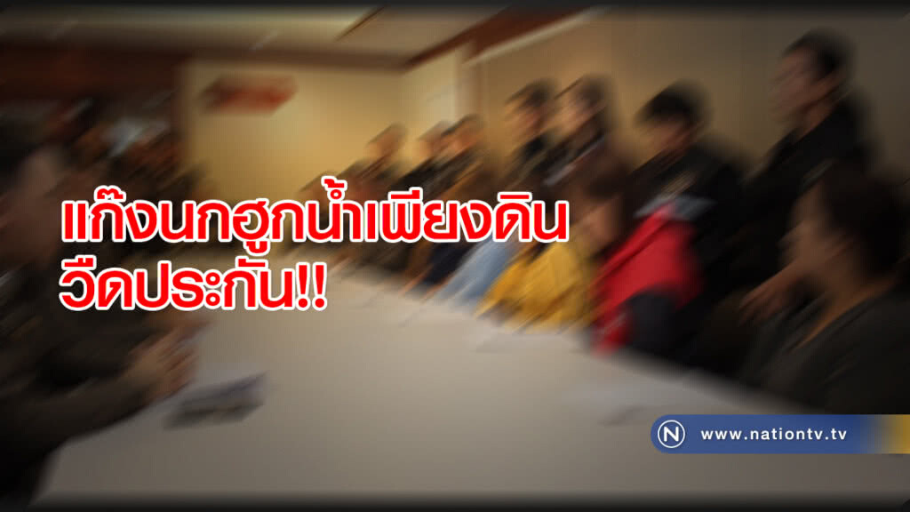 แก๊งนกฮูกน้ำเพียงดินวืดประกัน!! แก๊งนกฮูกน้ำเพียงดินวืดประกัน!!