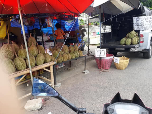แบบนี้ก็ได้เหรอ? แม่ค้าทุเรียนด่ากราด ลูกค้าเอาทุเรียนเน่ามาคืน