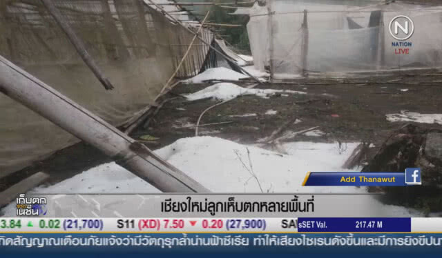 (คลิปข่าว)  ลูกเห็บตกในหลายพื้นที่ จังหวัดเชียงใหม่