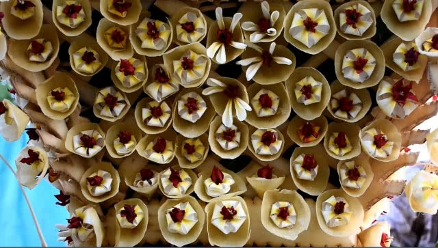 ประเพณีโบราณสืบทอดหลายร้อยปี แห่ช้างเผือกดอกฝ้าย ต้นผึ้ง ต้นทาน