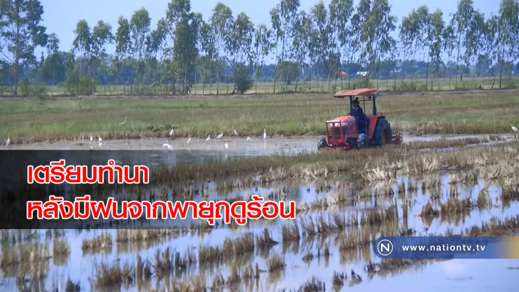 เตรียมทำนา หลังมีฝนจากพายุฤดูร้อน เตรียมทำนา หลังมีฝนจากพายุฤดูร้อน
