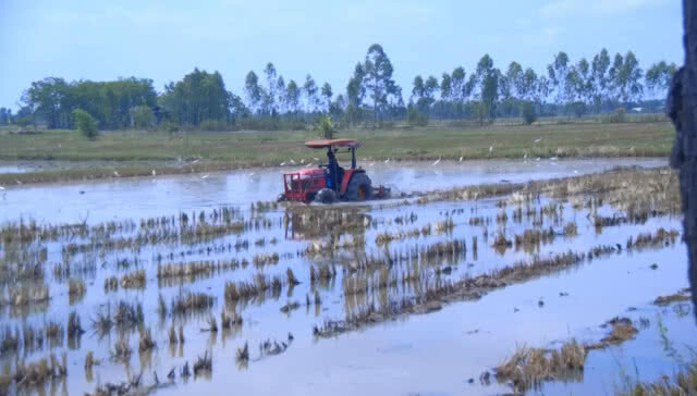 เตรียมทำนา หลังมีฝนจากพายุฤดูร้อน