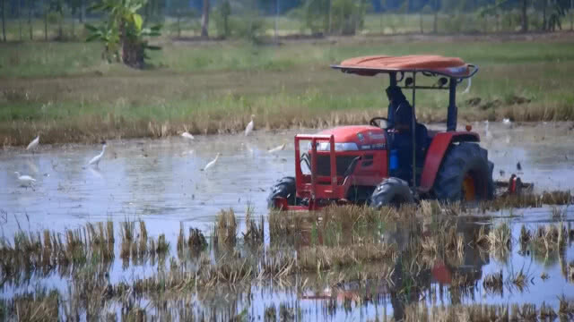 เตรียมทำนา หลังมีฝนจากพายุฤดูร้อน