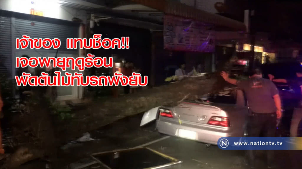 เจ้าของ แทบช็อค!! เจอพายุฤดูร้อนพัดต้นไม้ใหญ่ทับรถพังยับ เจ้าของ แทบช็อค!! เจอพายุฤดูร้อนพัดต้นไม้ใหญ่ทับรถพังยับ
