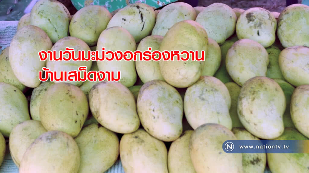 งานวันมะม่วงอกร่องหวานบ้านเสม็ดงาม