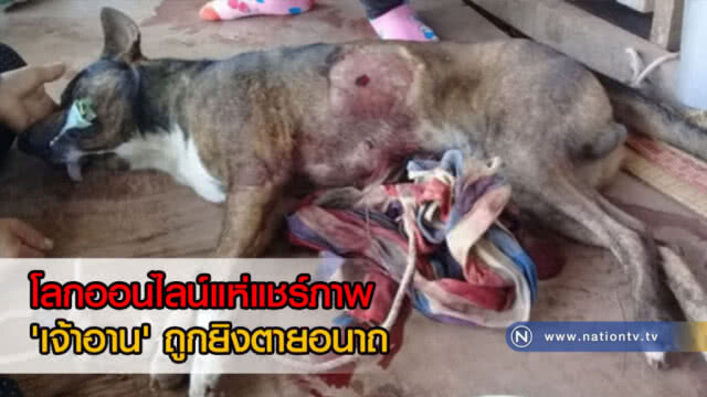 เสี่ยเต้นท์รถรับ! แค่ตีแต่ไม่ได้ยิง "เจ้าอาน" ตาย ยอมชดใช้ 5 พันบาท(คลิป)