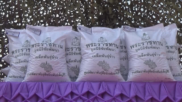 กองทัพภาคที่ 3 จัดพิธีรับพระราชทานเมล็ดพันธุ์ข้าว