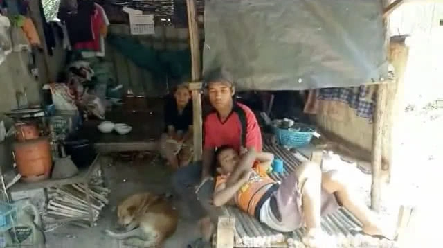 วอนช่วยเหลือ! เด็ก 9 ขวบ ไร้ที่พัก ต้องขออาศัยกระท่อมข้างสวนปาล์มอยู่กับพ่อ-ย่าวัย 77 ปี(คลิป)