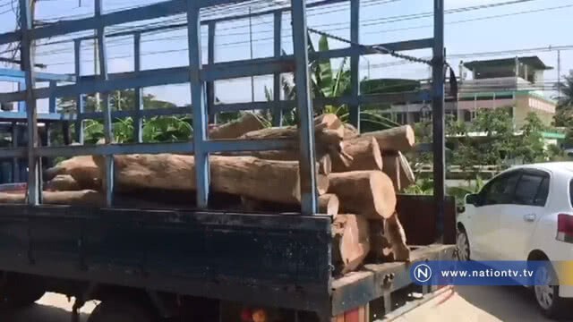 ปิดล้อมจับยึดไม้พะยูงมูลค่านับล้าน และผู้ต้องหา 2 คน