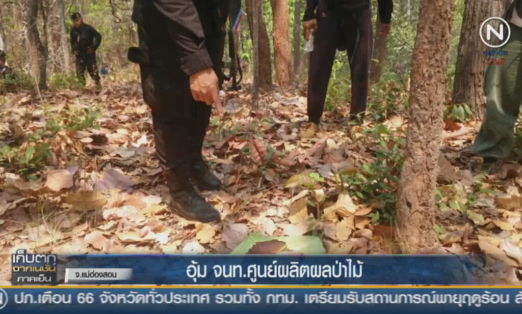 (คลิปข่าว) อุ้ม จนท.ศูนย์ผลิตผลป่าไม้ (คลิปข่าว) อุ้ม จนท.ศูนย์ผลิตผลป่าไม้