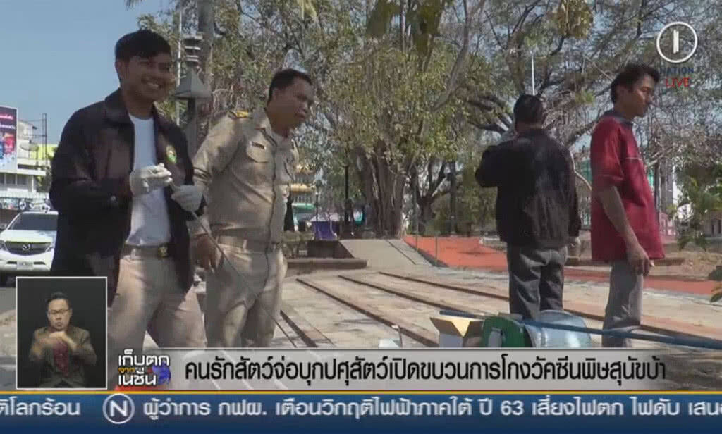 (คลิปข่าว) คนรักสัตว์จ่อบุกกรมปศุสัตว์ เปิดขบวนการโกงวัคซีนพิษสุนัขบ้า (คลิปข่าว) คนรักสัตว์จ่อบุกกรมปศุสัตว์ เปิดขบวนการโกงวัคซีนพิษสุนัขบ้า