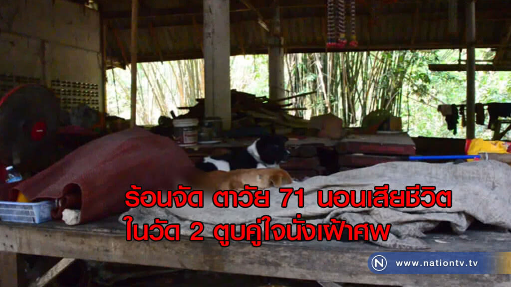 ร้อนจัด! ตาวัย 71 นอนเสียชีวิตในวัด 2 ตูบคู่ใจนั่งเฝ้าศพ