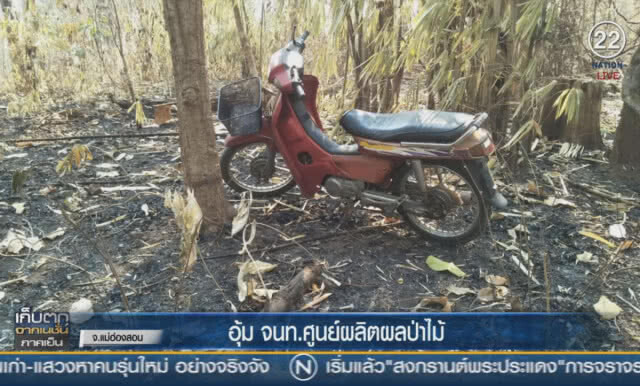 (คลิปข่าว) อุ้ม จนท.ศูนย์ผลิตผลป่าไม้