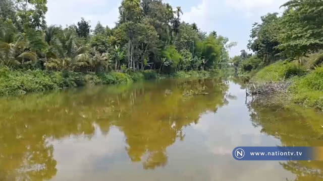 ผู้ว่าฯลงพื้นที่ตรวจสอบสาเหตุปลาตายยกคลองแก้ไขภายใน 3 วัน