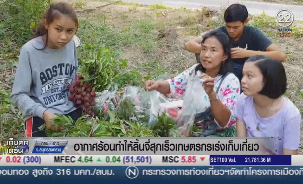 (คลิปข่าว) อากาศร้อนทำให้ลิ้นจี่สุกเร็ว เกษตรกรเร่งเก็บเกี่ยว (คลิปข่าว) อากาศร้อนทำให้ลิ้นจี่สุกเร็ว เกษตรกรเร่งเก็บเกี่ยว