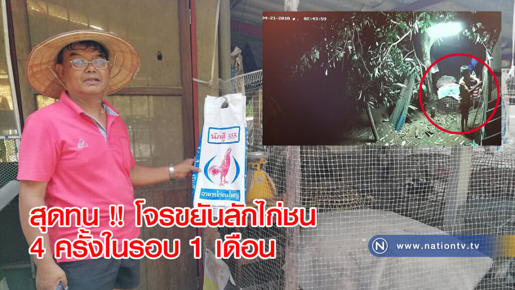 สุดทน !! โจรขยันลักไก่ชน 4 ครั้งในรอบ 1 เดือน