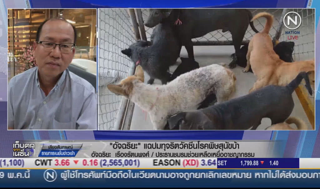 (คลิปข่าว) "อัจฉริยะ" แฉปมทุจริต วัคซีนโรคพิษสุนัขบ้า (คลิปข่าว) "อัจฉริยะ" แฉปมทุจริต วัคซีนโรคพิษสุนัขบ้า