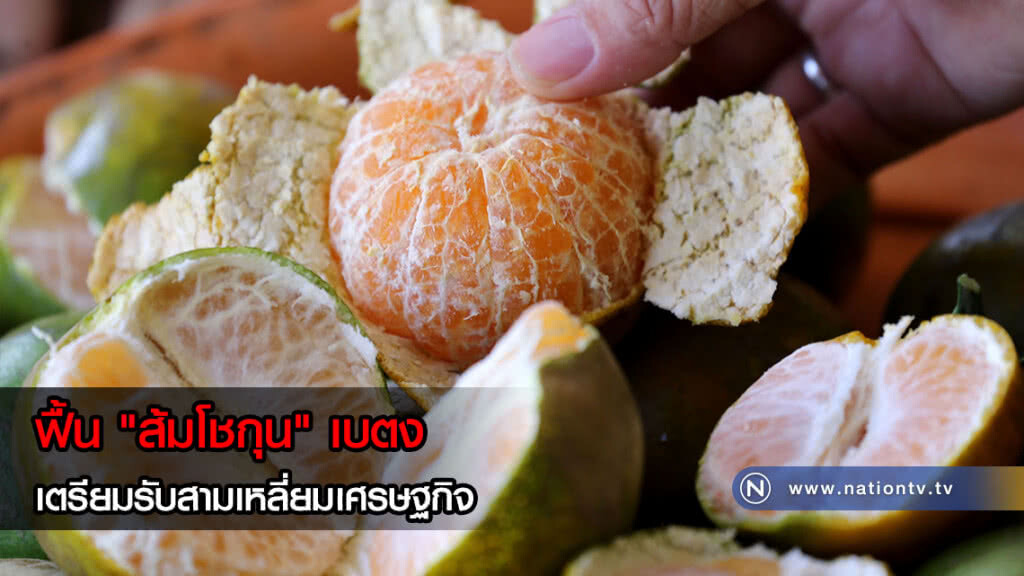 ฟื้น "ส้มโชกุน" เบตง เตรียมรับสามเหลี่ยมเศรษฐกิจมั่นคงมั่งคั่งยั่งยืน ฟื้น "ส้มโชกุน" เบตง เตรียมรับสามเหลี่ยมเศรษฐกิจมั่นคงมั่งคั่งยั่งยืน