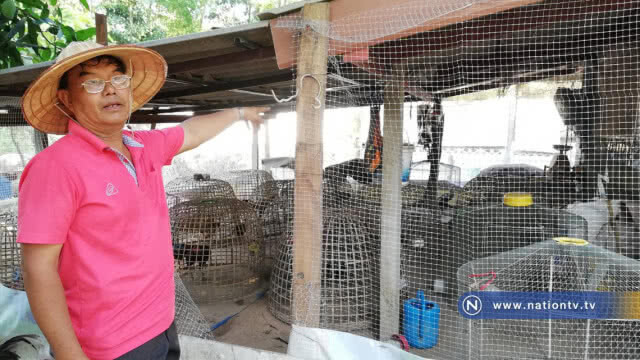 สุดทน !! โจรขยันลักไก่ชน 4 ครั้งในรอบ 1 เดือน