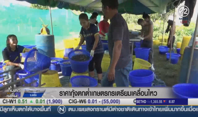 (คลิปข่าว) ราคากุ้งตกต่ำ เกษตรกรเตรียมเคลื่อนไหว