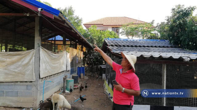 สุดทน !! โจรขยันลักไก่ชน 4 ครั้งในรอบ 1 เดือน