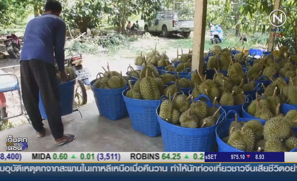(คลิปข่าว) พาณิชย์ปลื้ม ยอดซื้อทุเรียนผ่าน "อาลีบาบา" (คลิปข่าว) พาณิชย์ปลื้ม ยอดซื้อทุเรียนผ่าน "อาลีบาบา"