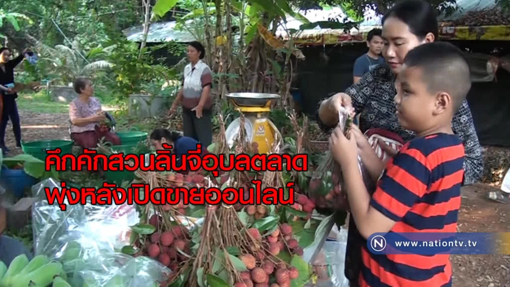 สวนคึกคักลิ้นจี่อุบลตลาด "พุ่งหลังเปิดขายออนไลน์"