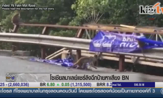 (คลิปข่าว)  โซเชียลมาเลย์แชร์ลิงฉีกป้ายหาเสียง BN