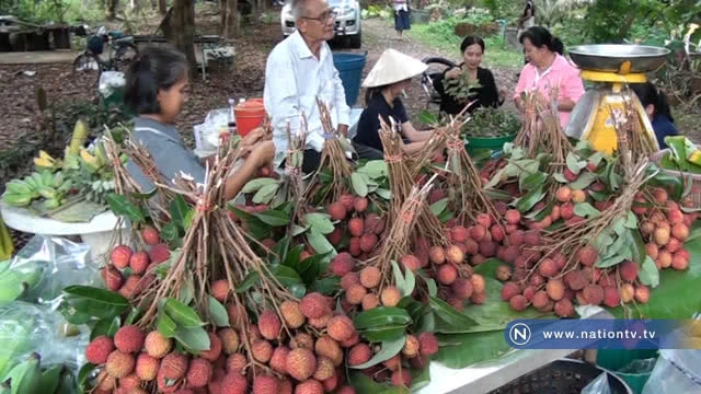 สวนคึกคักลิ้นจี่อุบลตลาด "พุ่งหลังเปิดขายออนไลน์"