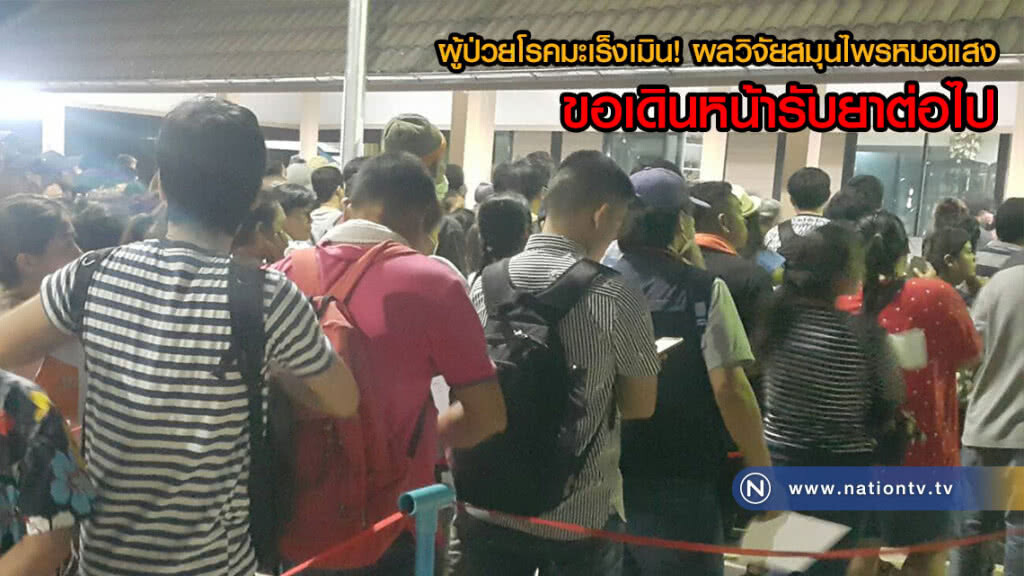 ผู้ป่วยโรคมะเร็งเมิน! ผลวิจัยสมุนไพรหมอแสง ขอเดินหน้ารับยาต่อไป(คลิป)