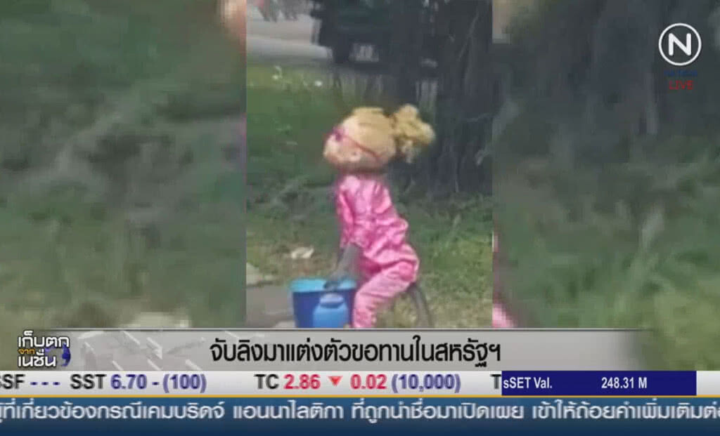 (คลิปข่าว) จับลิงมาแต่งตัวขอทานในสหรัฐฯ (คลิปข่าว) จับลิงมาแต่งตัวขอทานในสหรัฐฯ