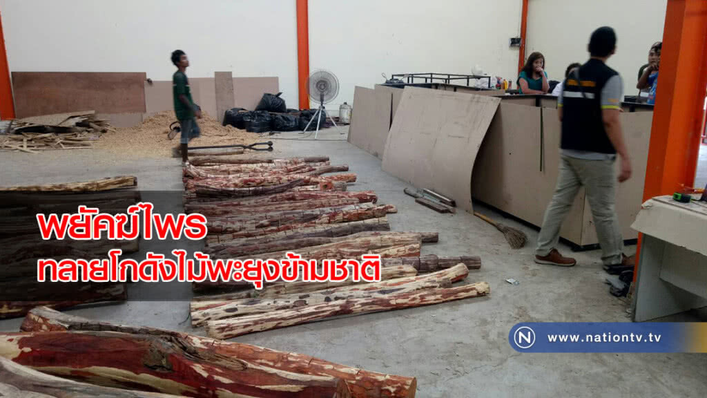 พยัคฆ์ไพร ทลายโกดังไม้พะยุงข้ามชาติ พยัคฆ์ไพร ทลายโกดังไม้พะยุงข้ามชาติ