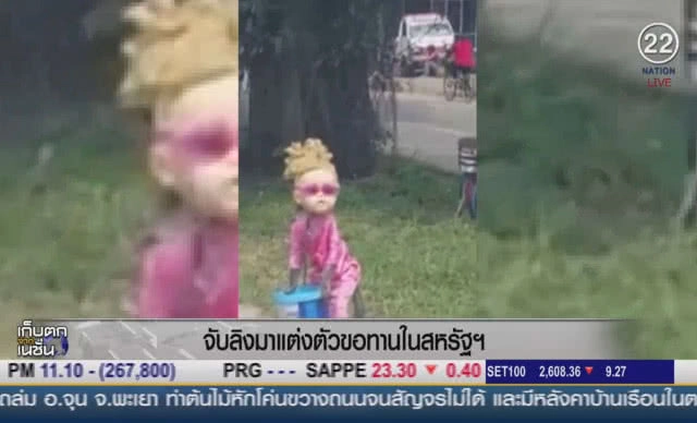 (คลิปข่าว) จับลิงมาแต่งตัวขอทานในสหรัฐฯ
