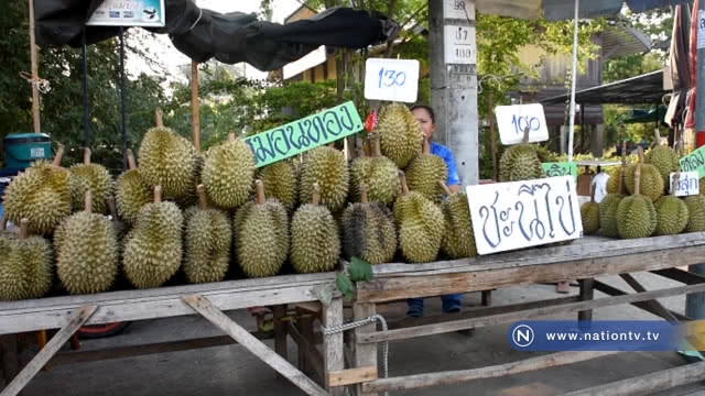 สั่ง-จับขายทุเรียนอ่อน ไม่ติดป้ายราคา