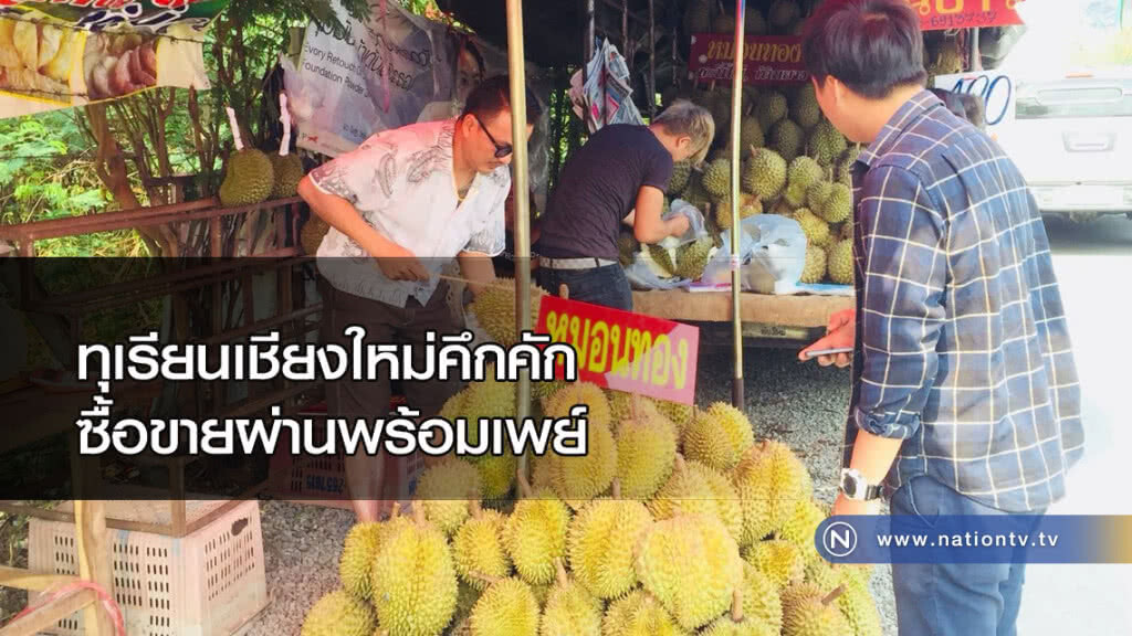 ทุเรียนเชียงใหม่คึกคัก "ซื้อขายผ่านพร้อมเพย์"