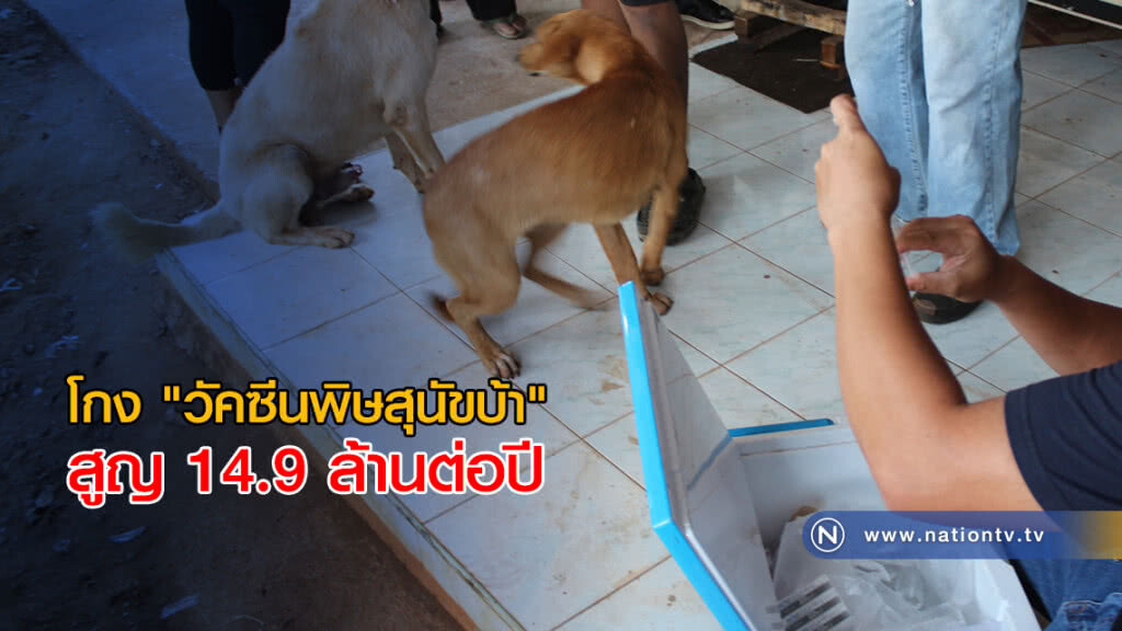 โกง "วัคซีนพิษสุนัขบ้า" สูญ 14.9 ล้านต่อปี