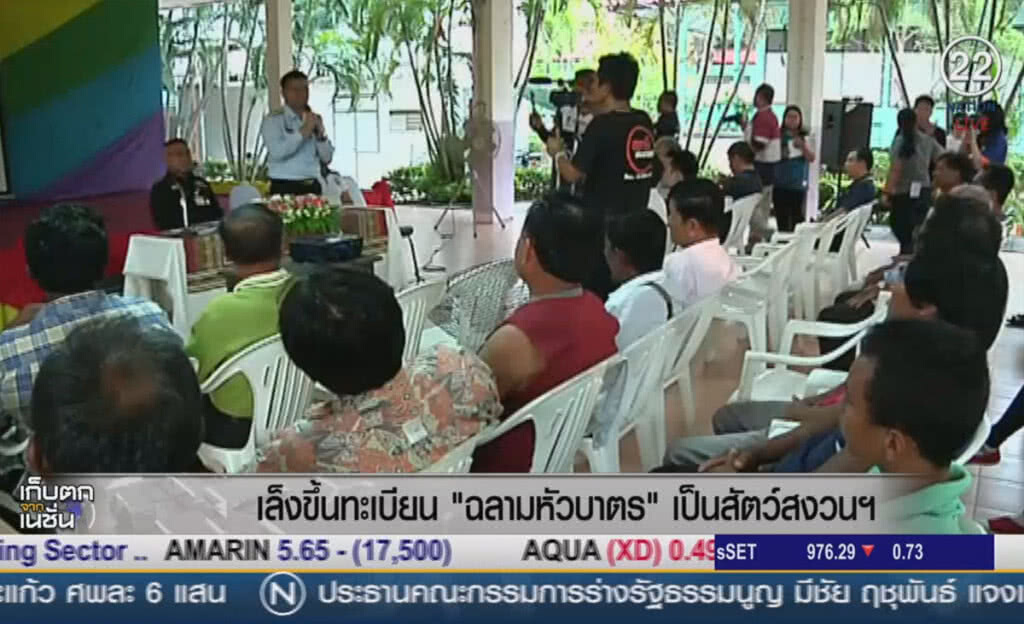 (คลิปข่าว) เล็งขึ้นทะเบียน "ฉลามหัวบาตร" เป็นสัตว์สงวนฯ